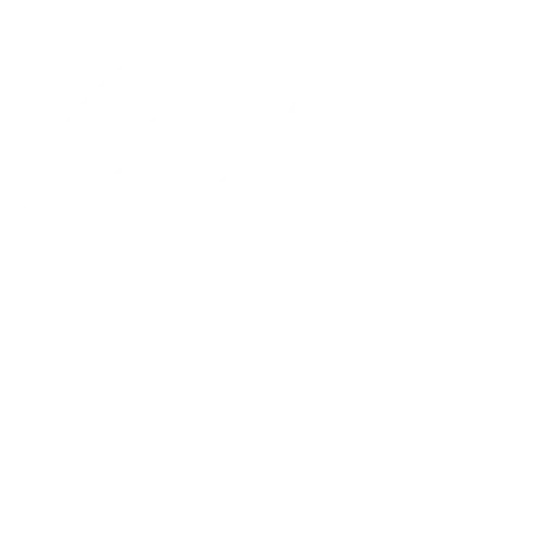 servo